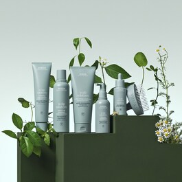 Scalp Solutions - Champú equilibrante