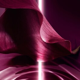 Capture Totale Super Potent Rich Creme - Crema rica antiedad bálsamo reparador