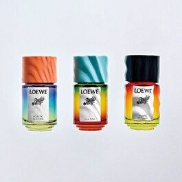 Paula´s Ibiza Loewe - Fragancia femenina