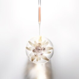 PDGY Cellglow Clarity Essence - Esencia ligera y refrescante