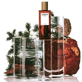 Loewe Solo Cedro EDT