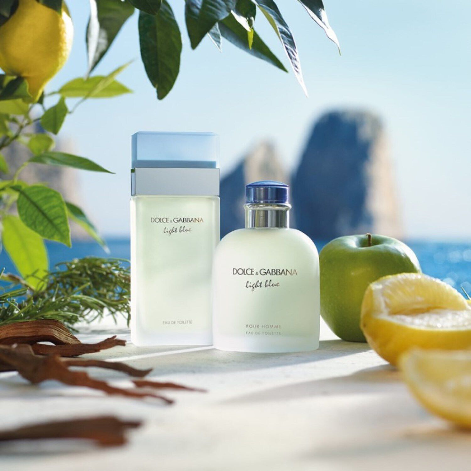 Light Blue Pour Homme Eau de Toilette de Dolce Gabbana SEPHORA