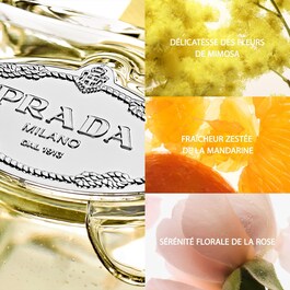 Les Infusions de Prada Mimosa - Eau de parfum