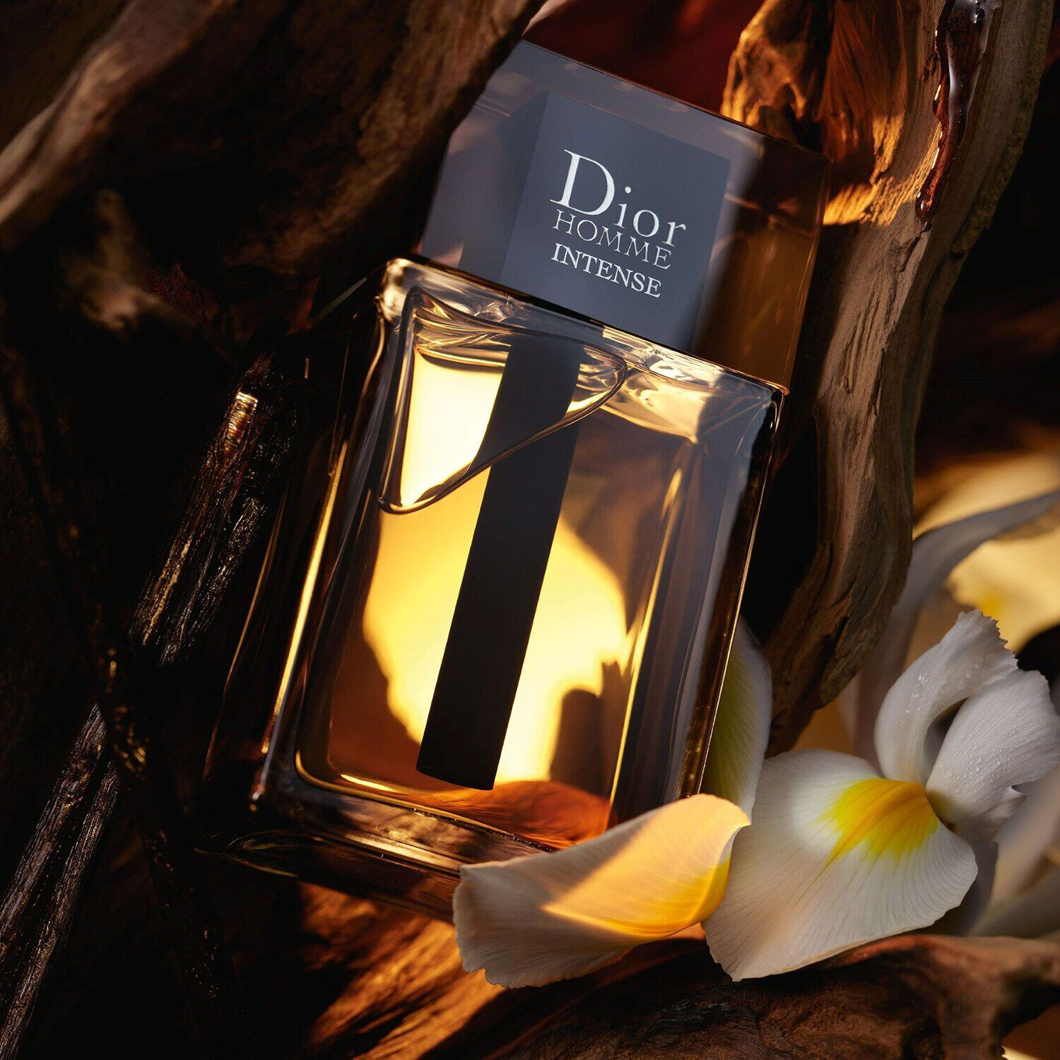 Dior Homme Intense Eau de parfum Notas de madera ambar lirio y vainilla