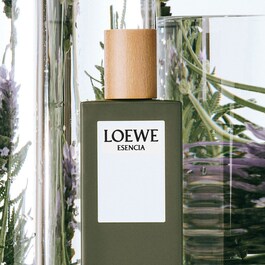 Loewe Esencia EDT