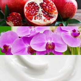 Euphoria - Eau de Parfum