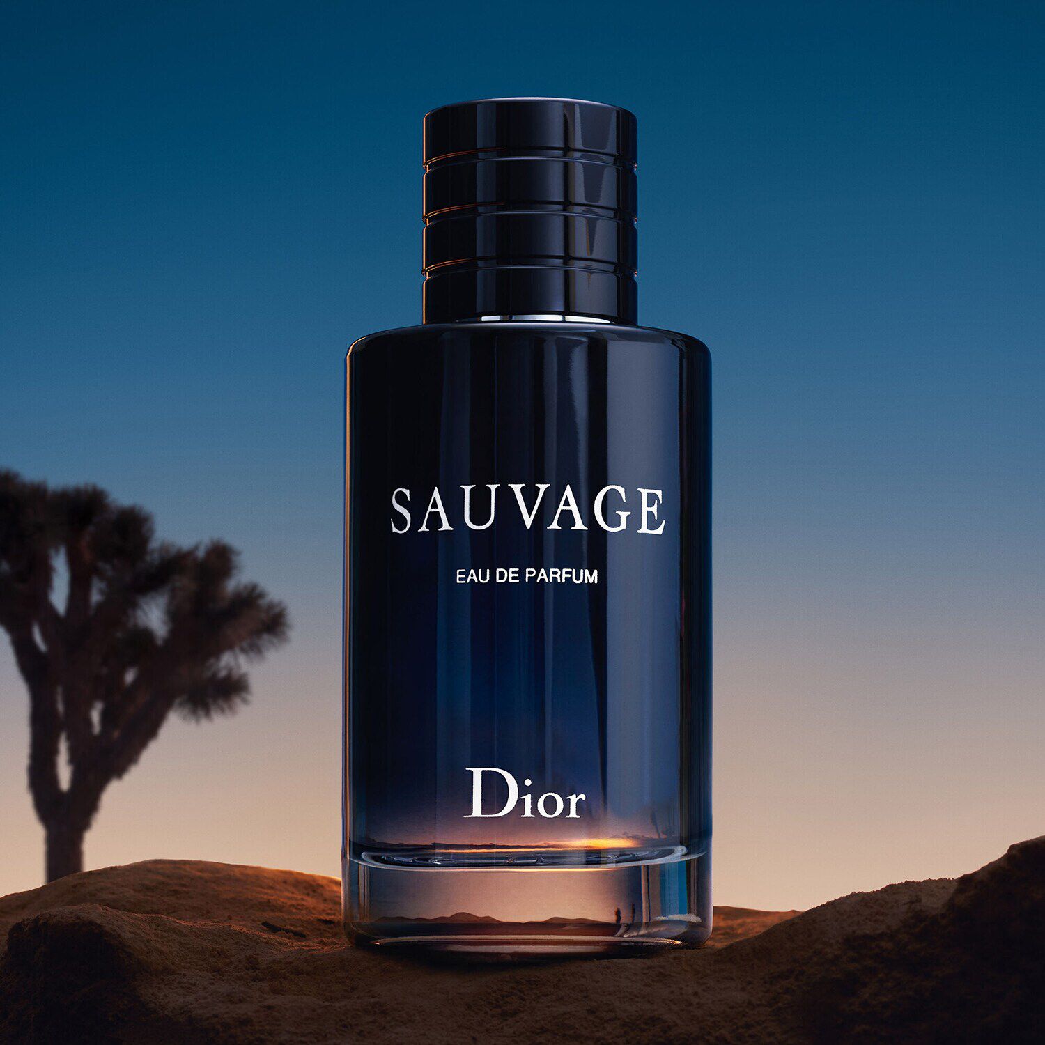 Eau sauvage hombre store