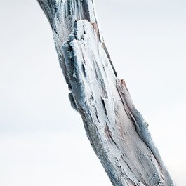 Bvlgari Man Glacial Essence - Eau de Parfum 