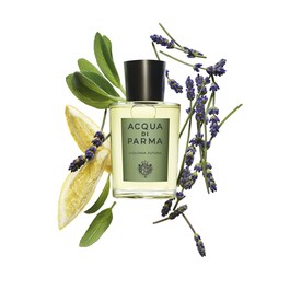 Colonia Futura - Eau de Cologne Fougère Aromático