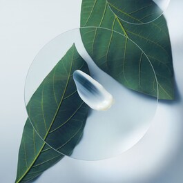 Botanical Repair Conditioner - Acondicionador reparador a base de plantas 
