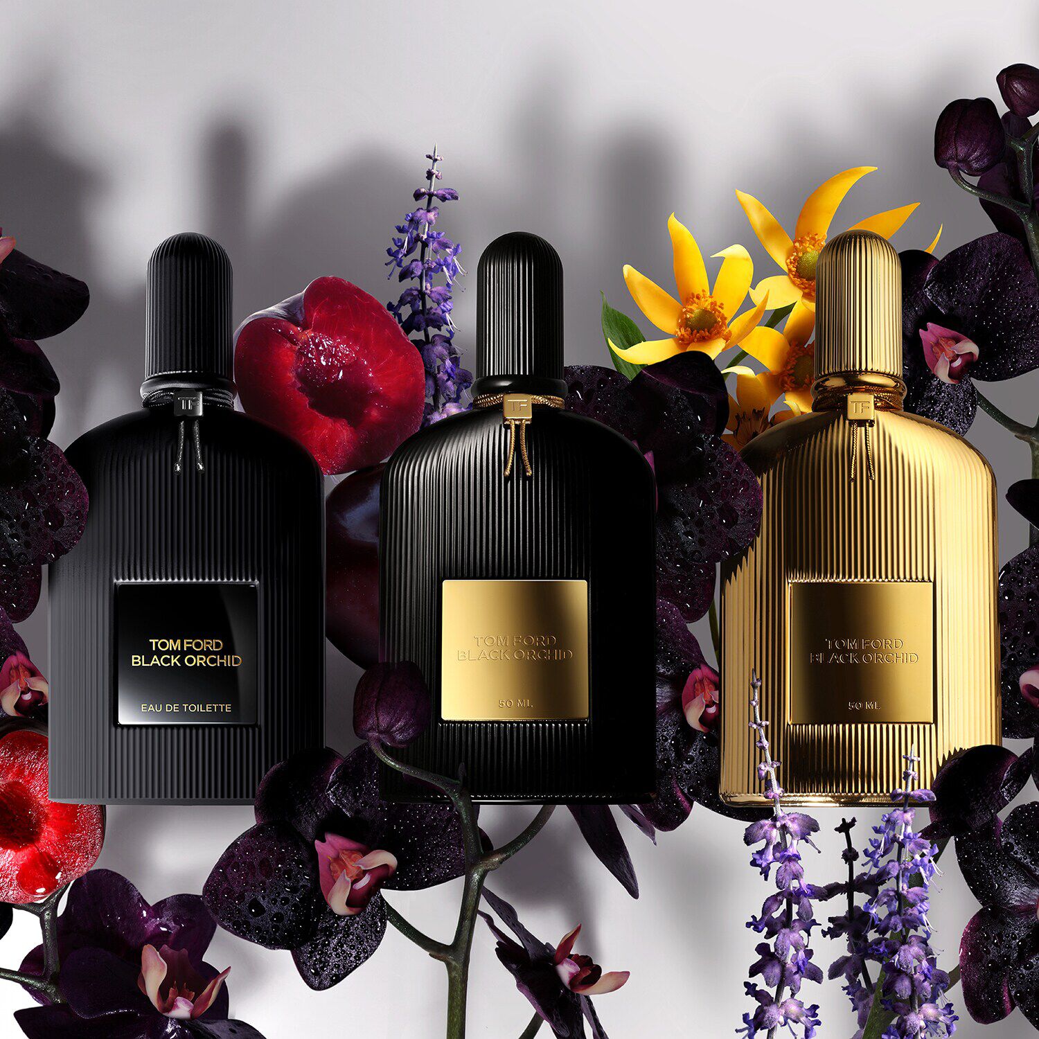Black hotsell orchid mujer