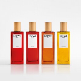 Loewe Solo Cedro EDT