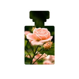 Baptise Ultra Moisturizing Gel - Gel con ácido hialurónico y miel 
