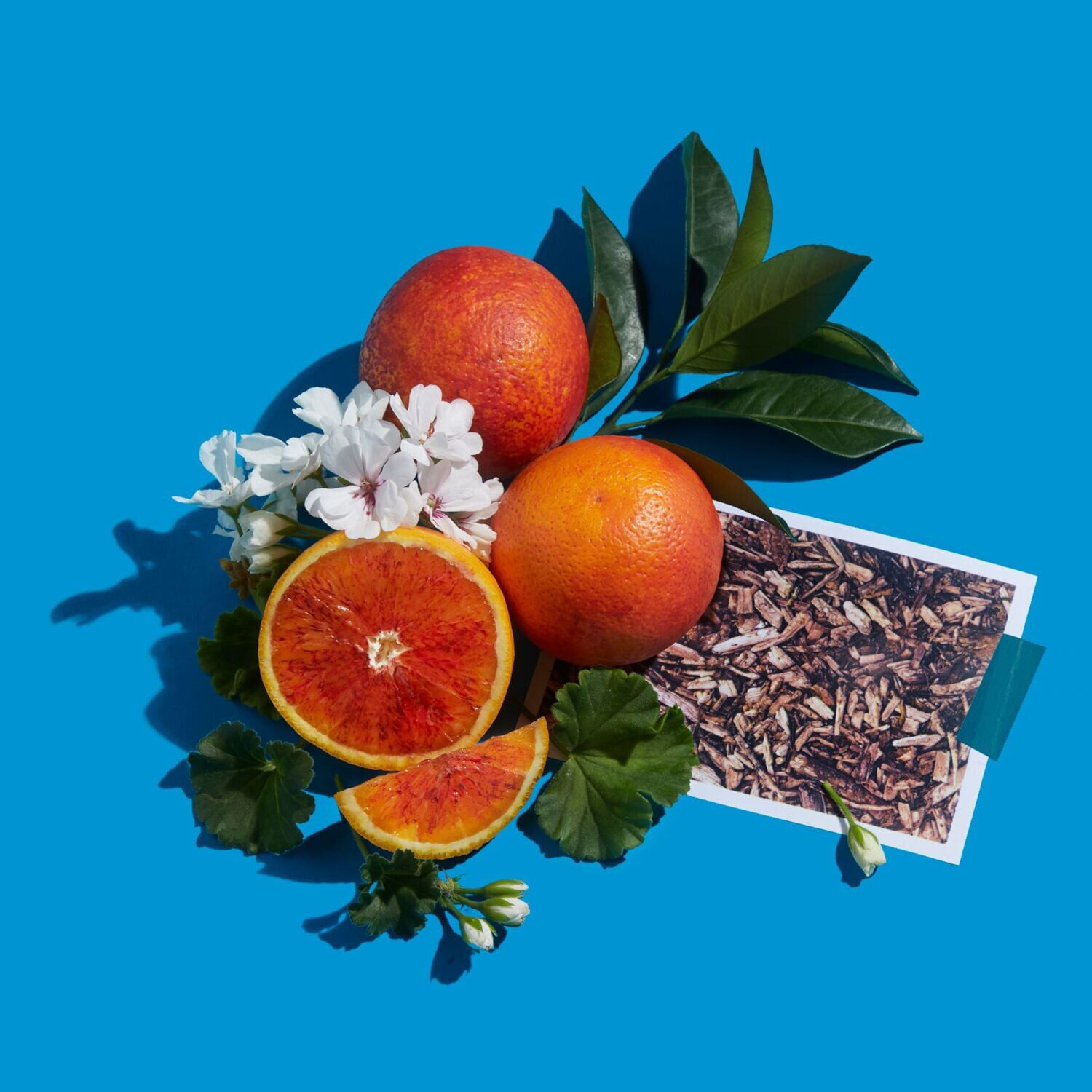 Orange cheap sanguine sephora