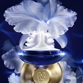 Orchidée Impériale - La Crème Riche