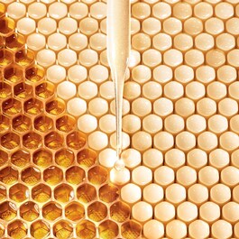 Abeille Royale - Aceite Limpiador