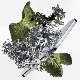 H24 Eau de parfum 