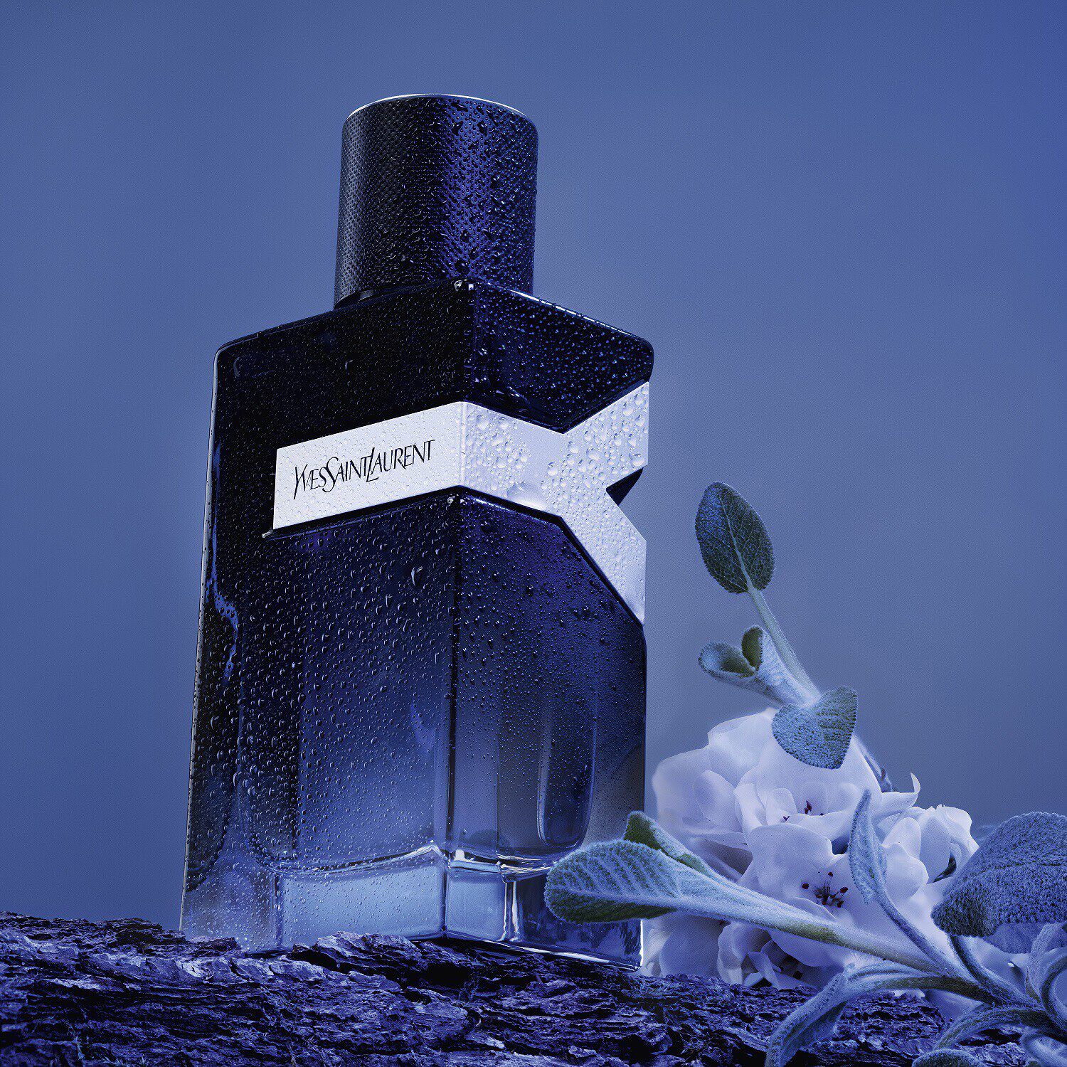 Y by Yves Saint Laurent para hombre SEPHORA