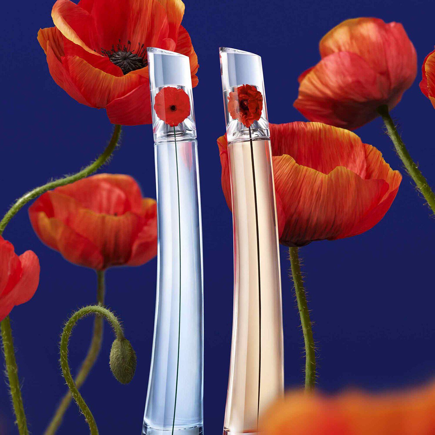 Kenzo shop flower estuche