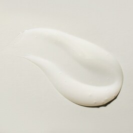 The Ritual of Ayurveda - Champú