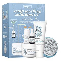 Soluciones para el cuero cabelludo graso - Set para el cabello, BRIOGEO