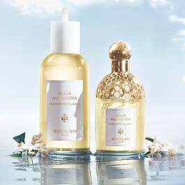 Aqua Allegoria Bergamota Calabria - Eau de Toilette
