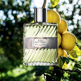 Eau Sauvage - Eau de toilette para hombre - Notas frescas y 