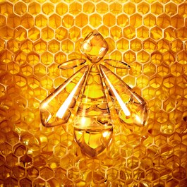 Abeille Royale Eye R Repair Serum - Tratamiento Antiedad