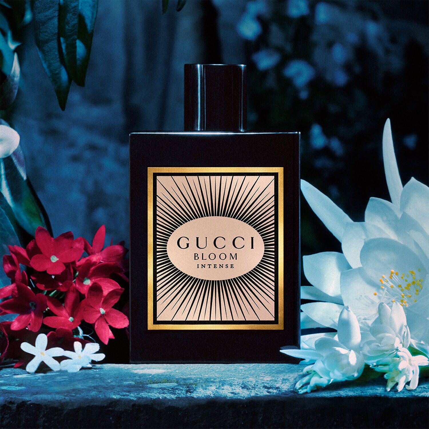 Gucci 2025 bloom hombre