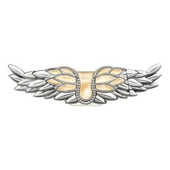 Zadig - Eau de Parfum Recargable, Zadig & Voltaire
