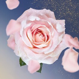 OUI La Vie est Belle - Eau de Parfum