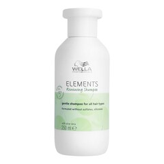Elements - Champú regenerador sin sulfatos para todo tipo de cabello, Wella Professionals
