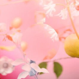 CHANCE EAU TENDRE - Eau De Toilette Vaporizador 