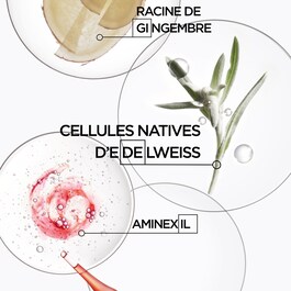 Genesis Ampoules Cure Anti-Chute Fortifiantes - Ampollas anti-caída