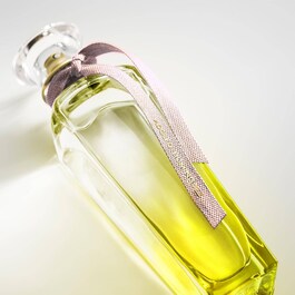 Agua Fresca Mimosa Coriandro - Eau de Toilette