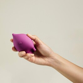 The Poet - Vibrador de Pulsación de Aire