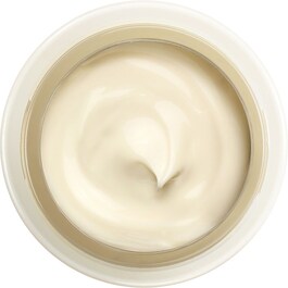 Benefiance nutri perfect day cream - Crema de día