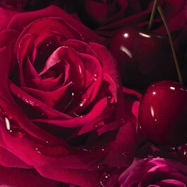  La Nuit Trésor Intense - Perfume de mujer