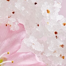 The Ritual of Sakura Body Scrub - Exfoliante para el Cuerpo