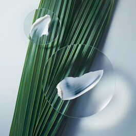 Botanical Repair Mask - Mascarilla reparadora, fortalecedora e intensiva 