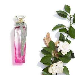Agua Fresca Gardenia Musk - Eau de Toilette