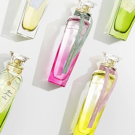 Agua Fresca Mimosa Coriandro - Eau de Toilette