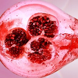 Nutritious Super-Pomegranate - Radiant Energy Lotion Light