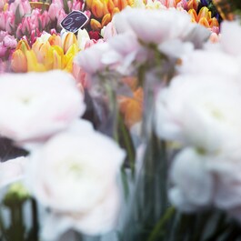 Replica Flower Market - Eau de Toilette