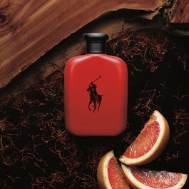 Polo red - Eau de Toilette