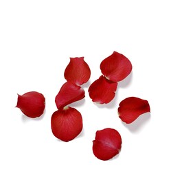 The ritual of ayurveda fragrance sticks - Barras aromáticas