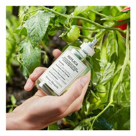 REPLICA From The Garden - Eau de Toilette