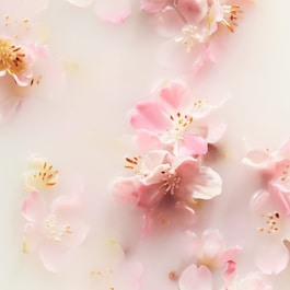 The Ritual of Sakura Fragrance Sticks  - Barritas perfumadas