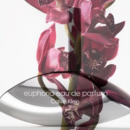 Euphoria - Eau de Parfum