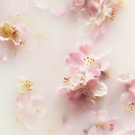 SAKURA - Bálsamo de manos de recuperación